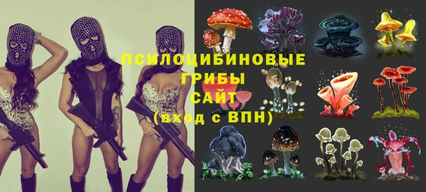 скорость Алексин