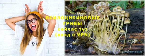 mix Алексеевка