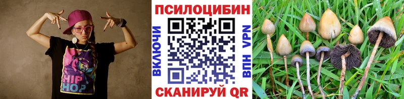 закладки  площадка как зайти  Галлюциногенные грибы Psilocybine cubensis  Карабулак 